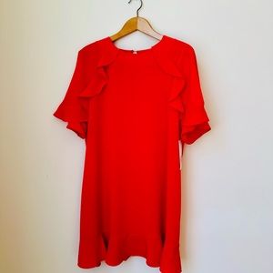 NWT HOT red Zara dress!